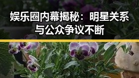 娱乐圈内幕揭秘：明星关系与公众争议不断
