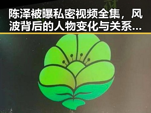 陈泽被曝私密视频全集,风波背后的人物变化与关系动向