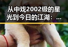 从中戏2002级的星光到今日的江湖：明星“逆袭”背后那些隐秘的故事🌟